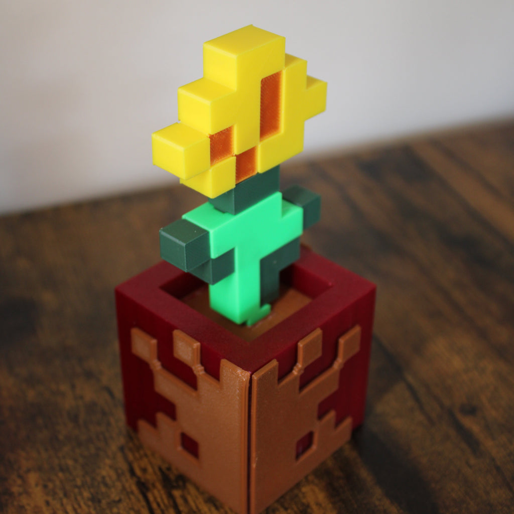Potted Dandelion