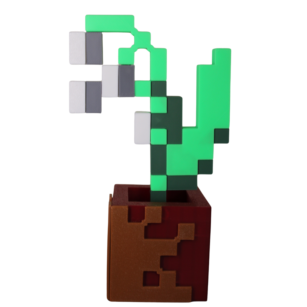 Potted Lily of the Valley