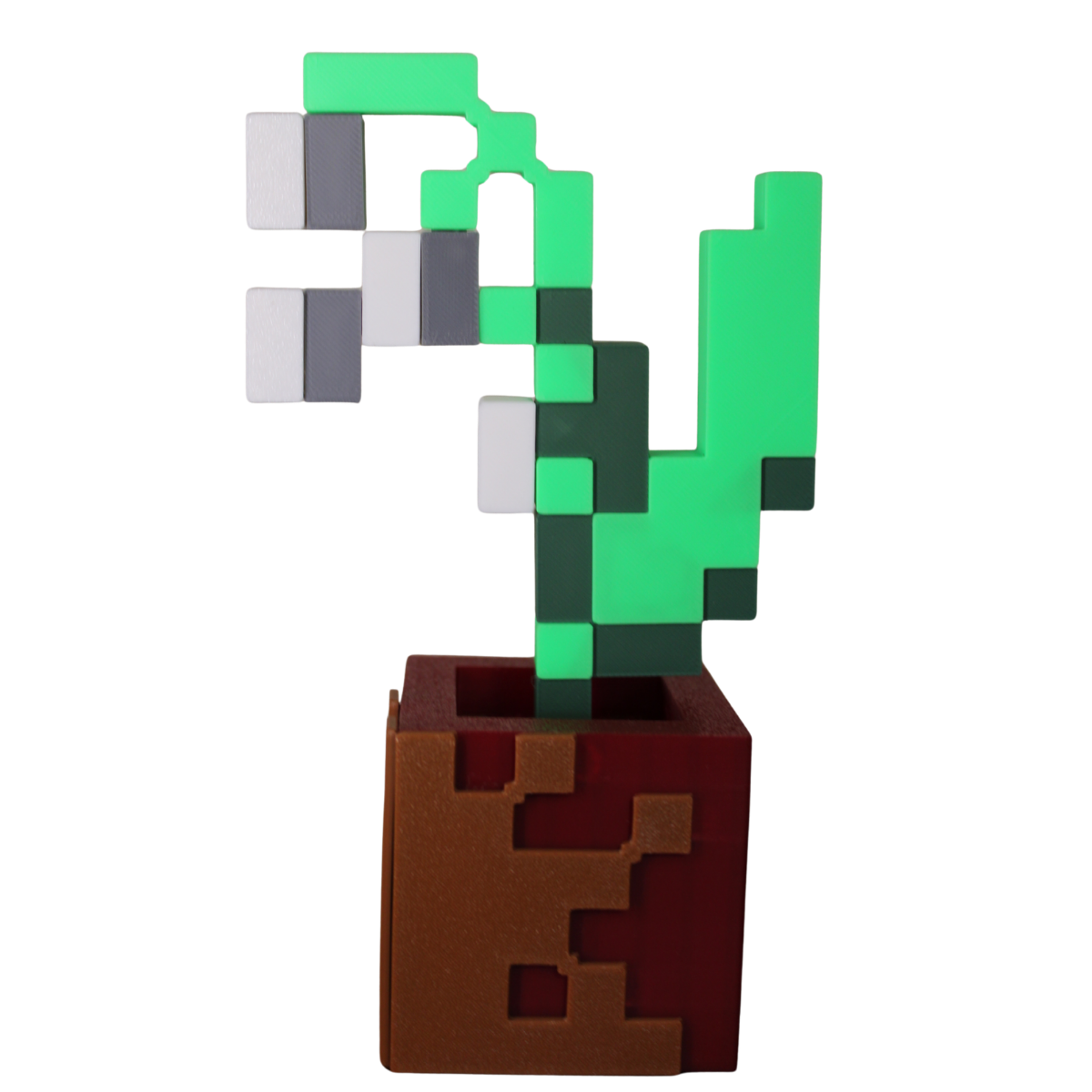 Potted Lily of the Valley