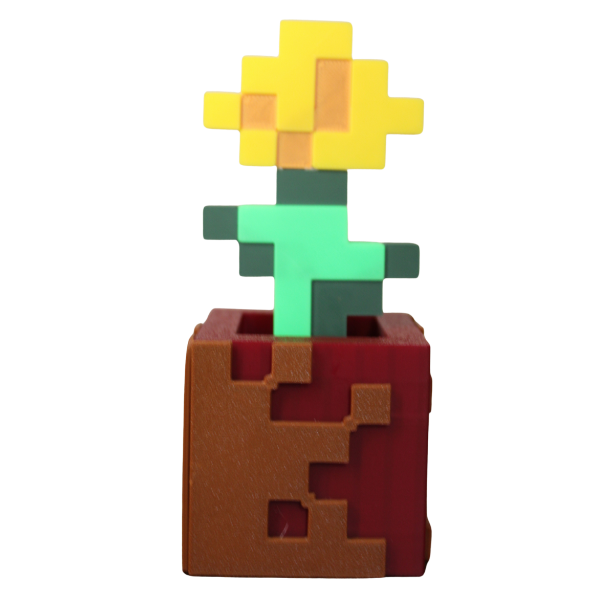 Potted Dandelion